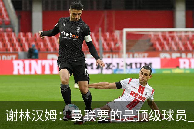 谢林汉姆：曼联要的是顶级球员 M费不够好没必要为错过他沮丧