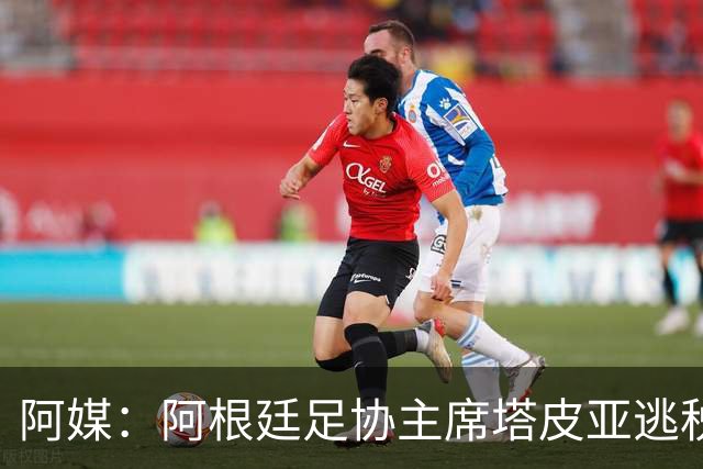 阿媒：阿根廷足协主席塔皮亚逃税上诉被驳回，确认将被起诉