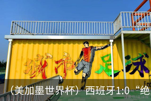 （美加墨世界杯）西班牙1:0“绝杀”葡萄牙 C罗结束世界杯征程