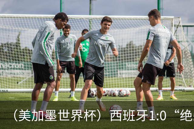 （美加墨世界杯）西班牙1:0“绝杀”葡萄牙 C罗结束世界杯征程